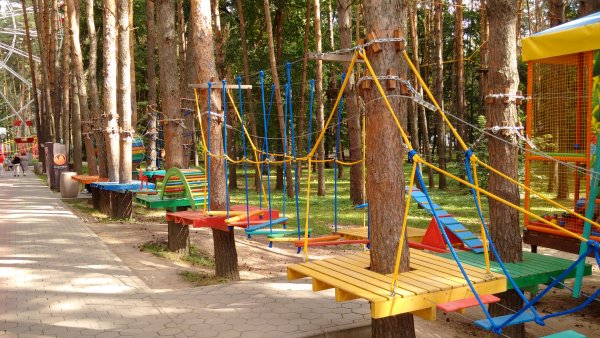 Достопримечательности Домодедово парк елочки