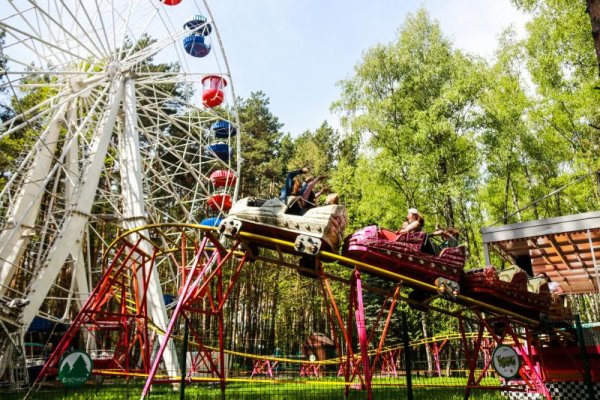 Достопримечательности Домодедово парк елочки