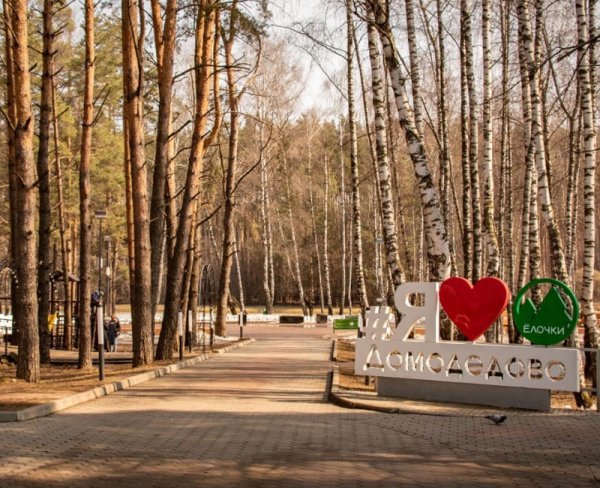 Парк культуры елочки Домодедово