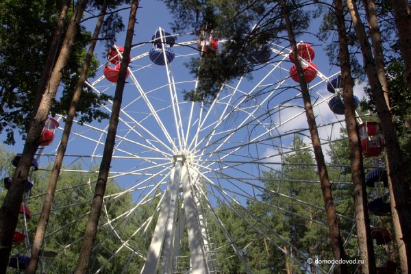 Парк ёлочки в Домодедово