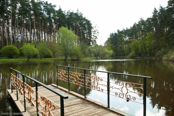 Городской парк елочки Домодедово