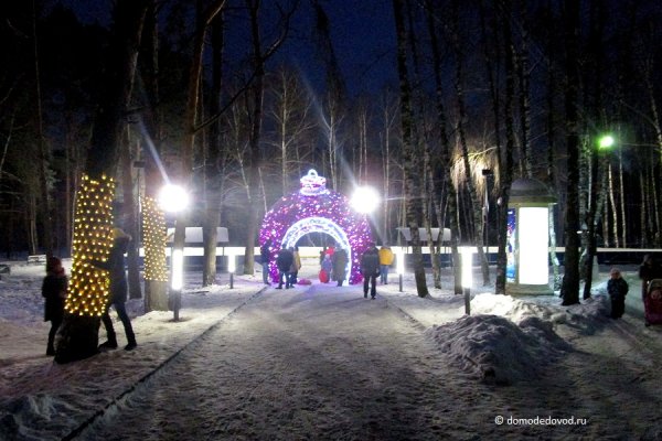 Город Домодедово парк елочки