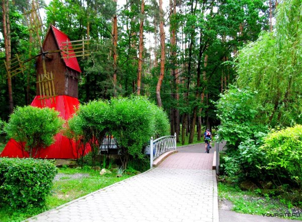 Городской парк елочки Домодедово