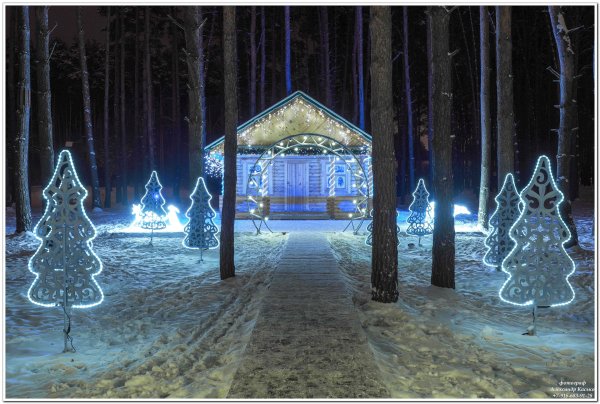 Парк ёлочки в Домодедово