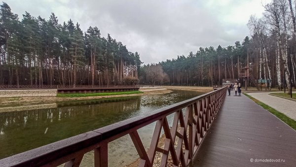 Парк ёлочки в Домодедово