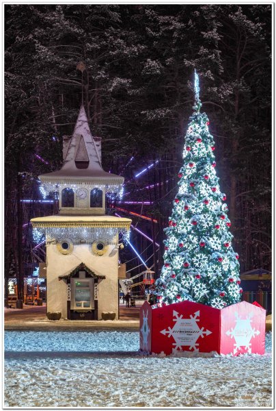 Парк ёлки в Домодедово