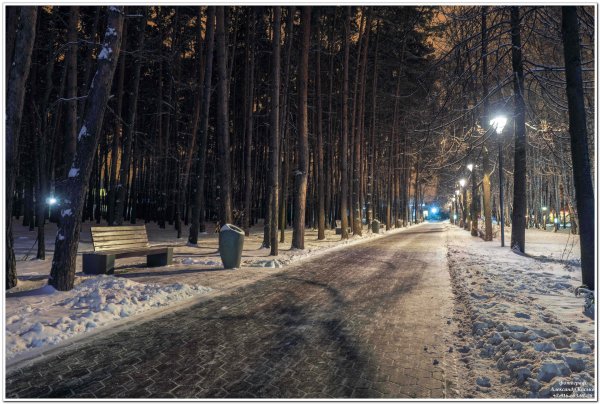 Горки парк Домодедово