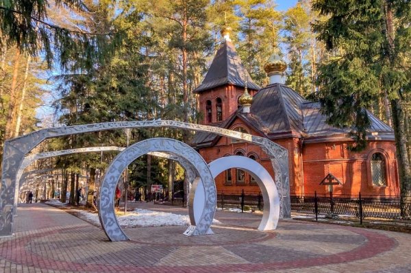 Лесопарк елочки Наро-Фоминск