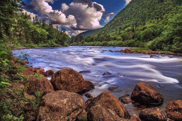 Пейзажи лес.река камни