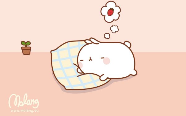 Корейский кролик Моланг