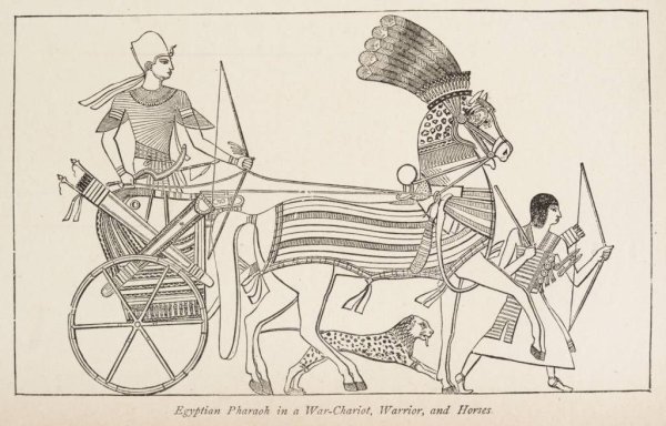 Египетский фараон в колеснице