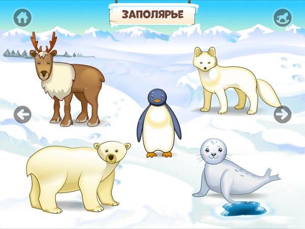 Животные севера для детей