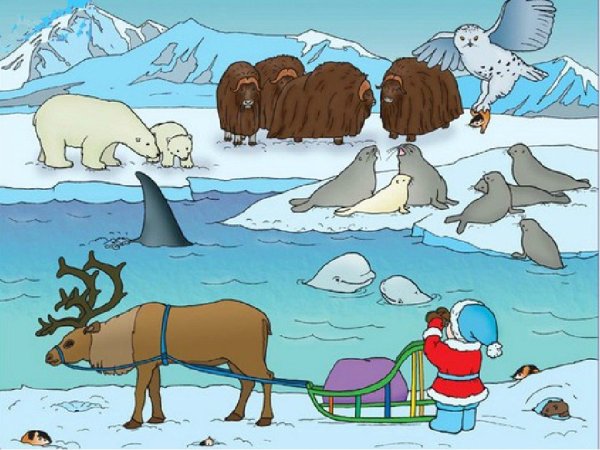 Животные Северного полюса для детей