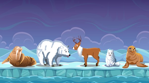 Животные севера для детей