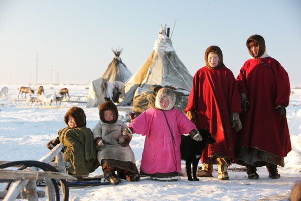 Дети севера