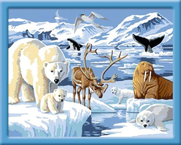 Северные животные для детей