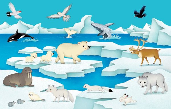 Макет животные севера