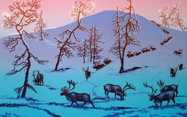 Животные севера