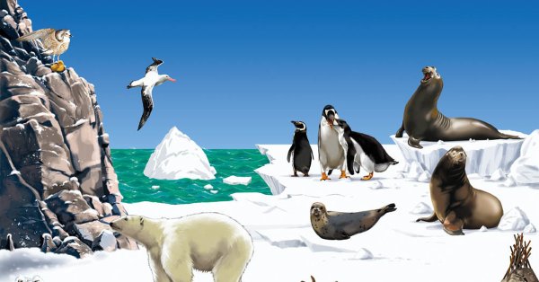 Чукчи якуты дети вектор