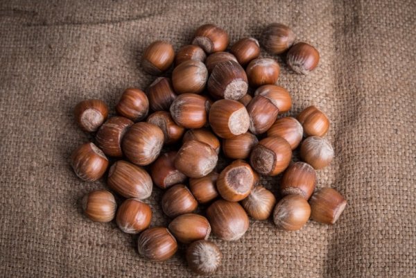 Лесной орех (Hazelnut)