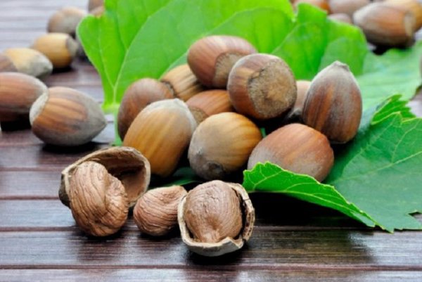 Лесной орех (Hazelnut)