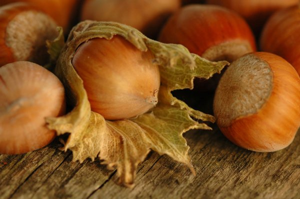 Лесной орех (Hazelnut)