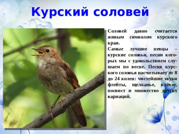 Памятник соловью в Курске