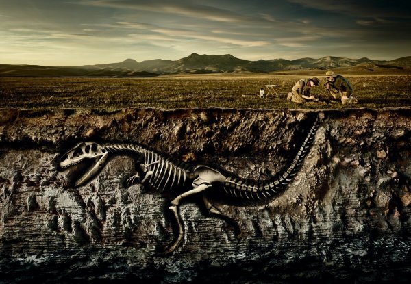 Раскопки динозавров