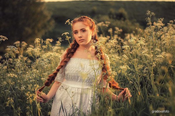 Русская коса Девичья Краса