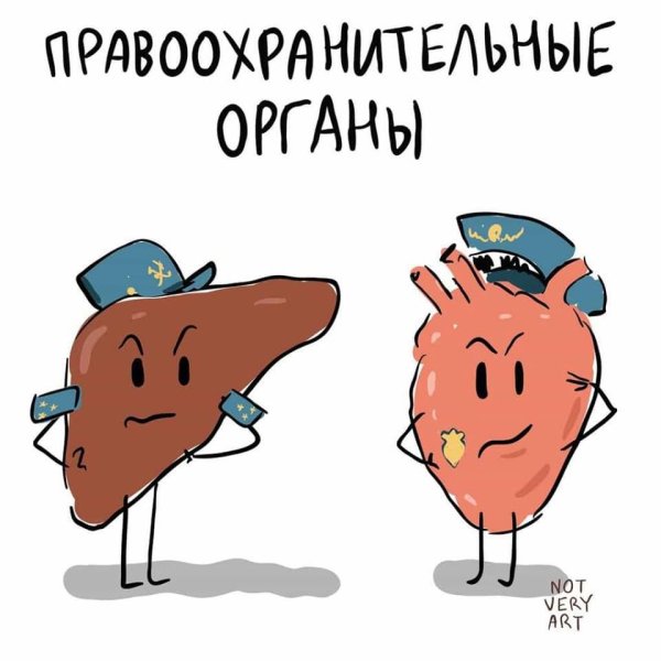 Фразеологизмы смешные картинки