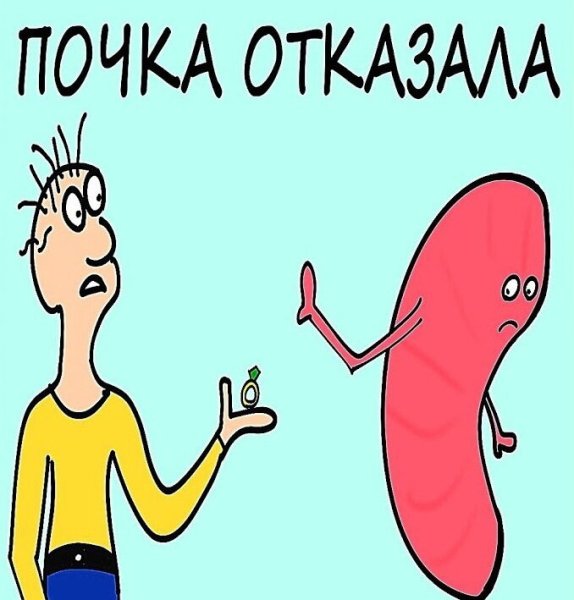 Фразеологизмы смешные картинки