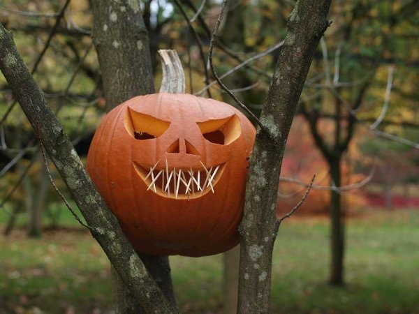 Светильник Джека Helloween