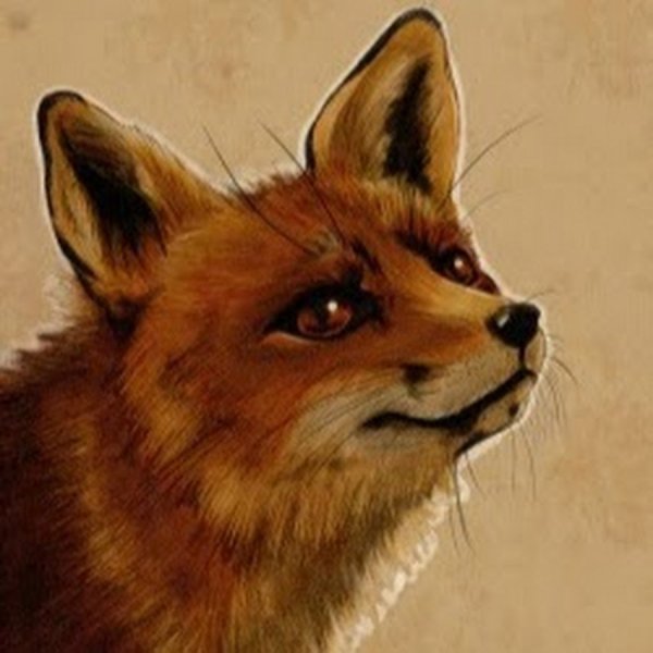Злой Лис