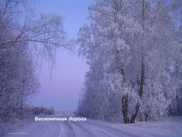 Зимняя пороша
