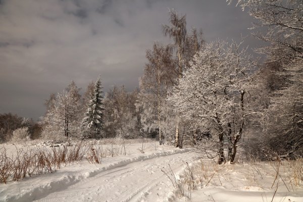 Снежная пороша