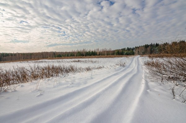 Снежная пороша