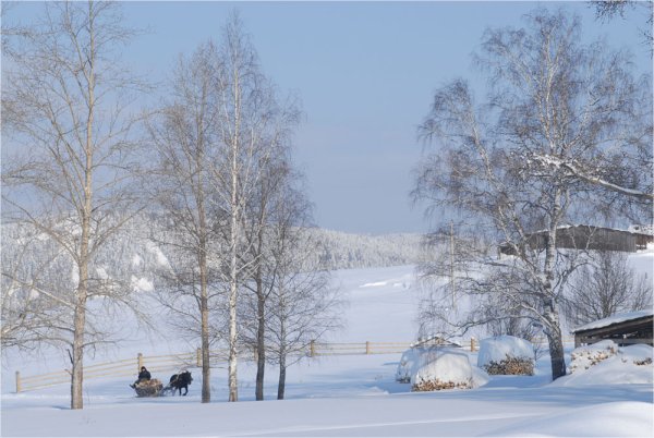 Снежная пороша