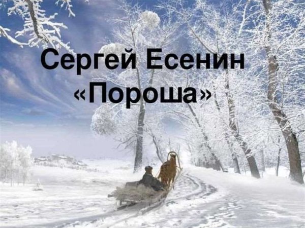 Дорога в рай фото зимой