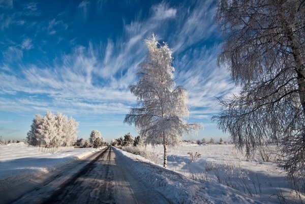Пороша природа