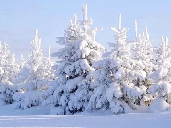 Зимняя дорога в поле