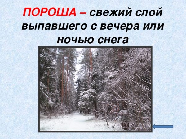 Словно белою косынкой Подвязалася сосна