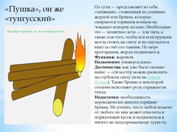 Вид костра пушка