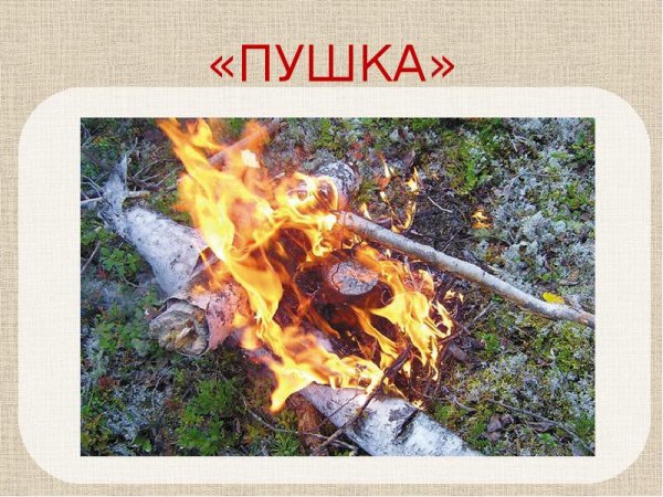 Таежный костер пушка