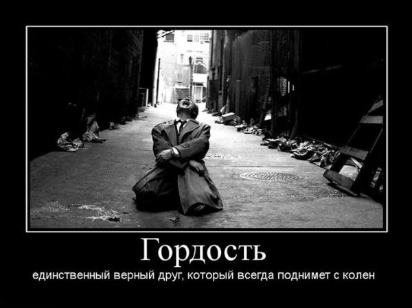Гордость картинки прикольные