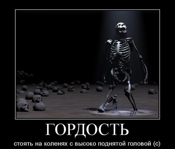 Гордость демотиватор