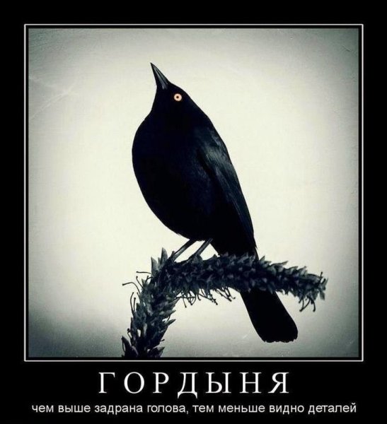Гордыня демотиватор