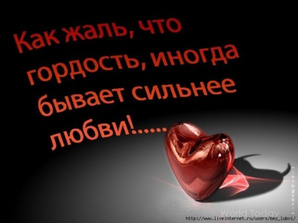 Цитаты про гордость в отношениях