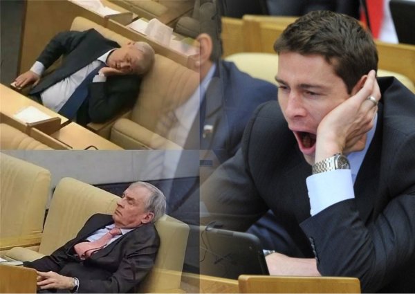 Депутаты в Думе