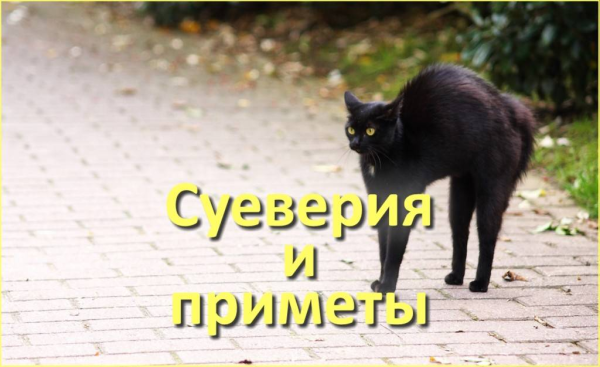 Приметы картинки