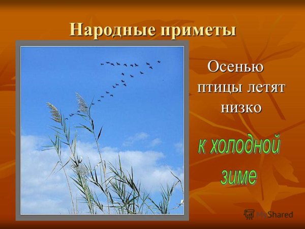 Народные приметы осени